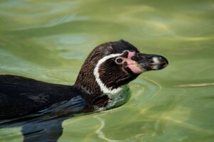 デリケートゾーンケアは美容皮膚科でどのようなことができるの？