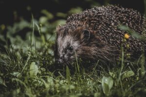 デリケートゾーンに最適な通気性のよい下着とは？