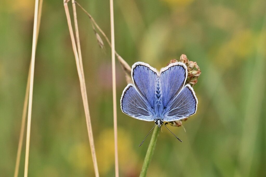 デリケートゾーンの悩みを解決するためにはどこに相談する？