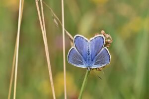 デリケートゾーンの悩みを解決するためにはどこに相談する？