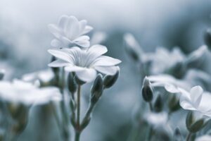 デリケートゾーンの蒸れ対策に効果的な方法は？