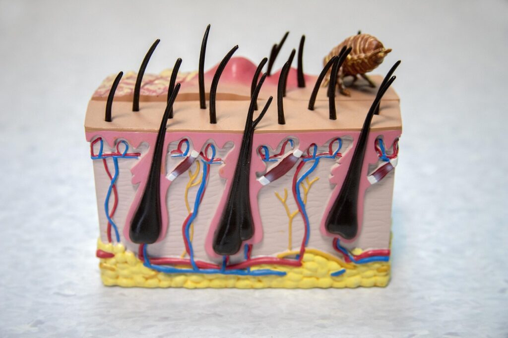 デリケートゾーンの痛みと言えば、かゆみもダブルで辛いのはなぜ？