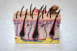 デリケートゾーンの痛みと言えば、かゆみもダブルで辛いのはなぜ？