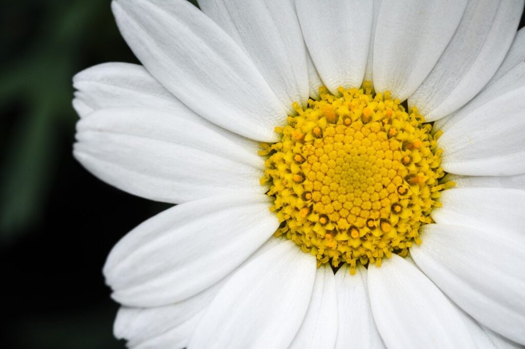 デリケートゾーンの膣内フローラを整える方法は？