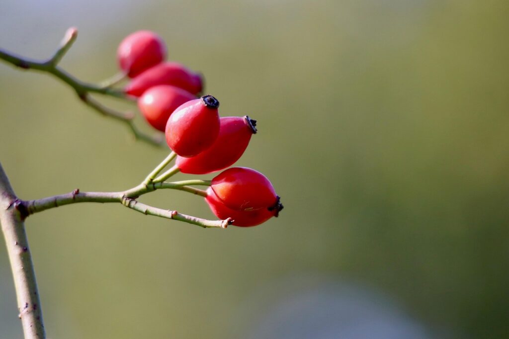 VIO脱毛後のかゆみを抑える方法は？