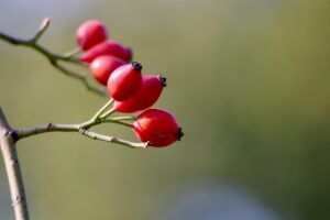 VIO脱毛後のかゆみを抑える方法は？