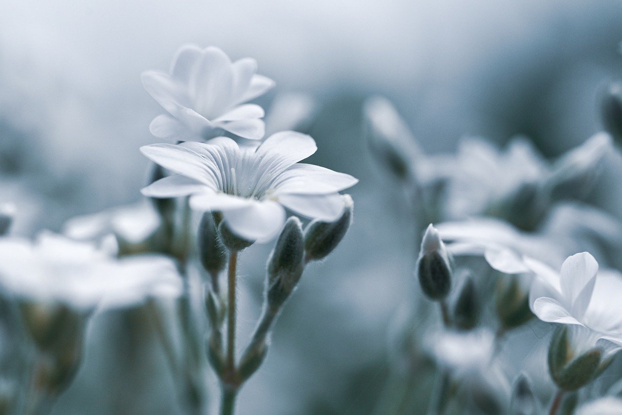 デリケートゾーンに使える泡石鹸の選び方とおすすめは？