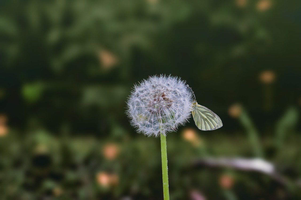 デリケートゾーンに白い粉がある場合のかゆみの原因は？