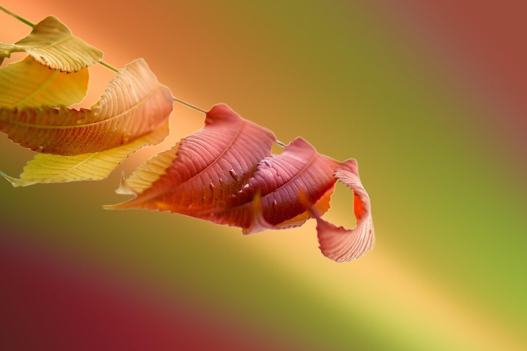 デリケートゾーンの酢っぽい臭いの原因とは？