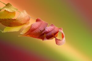 デリケートゾーンの酢っぽい臭いの原因とは？