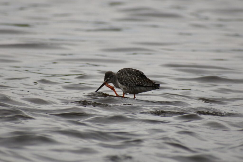デリケートゾーンの蒸れや痒みを解消する対処法は？