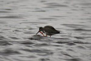 デリケートゾーンの蒸れや痒みを解消する対処法は？