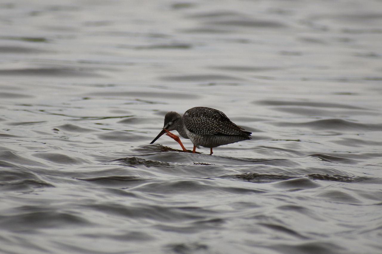 デリケートゾーンの蒸れや痒みを解消する対処法は？