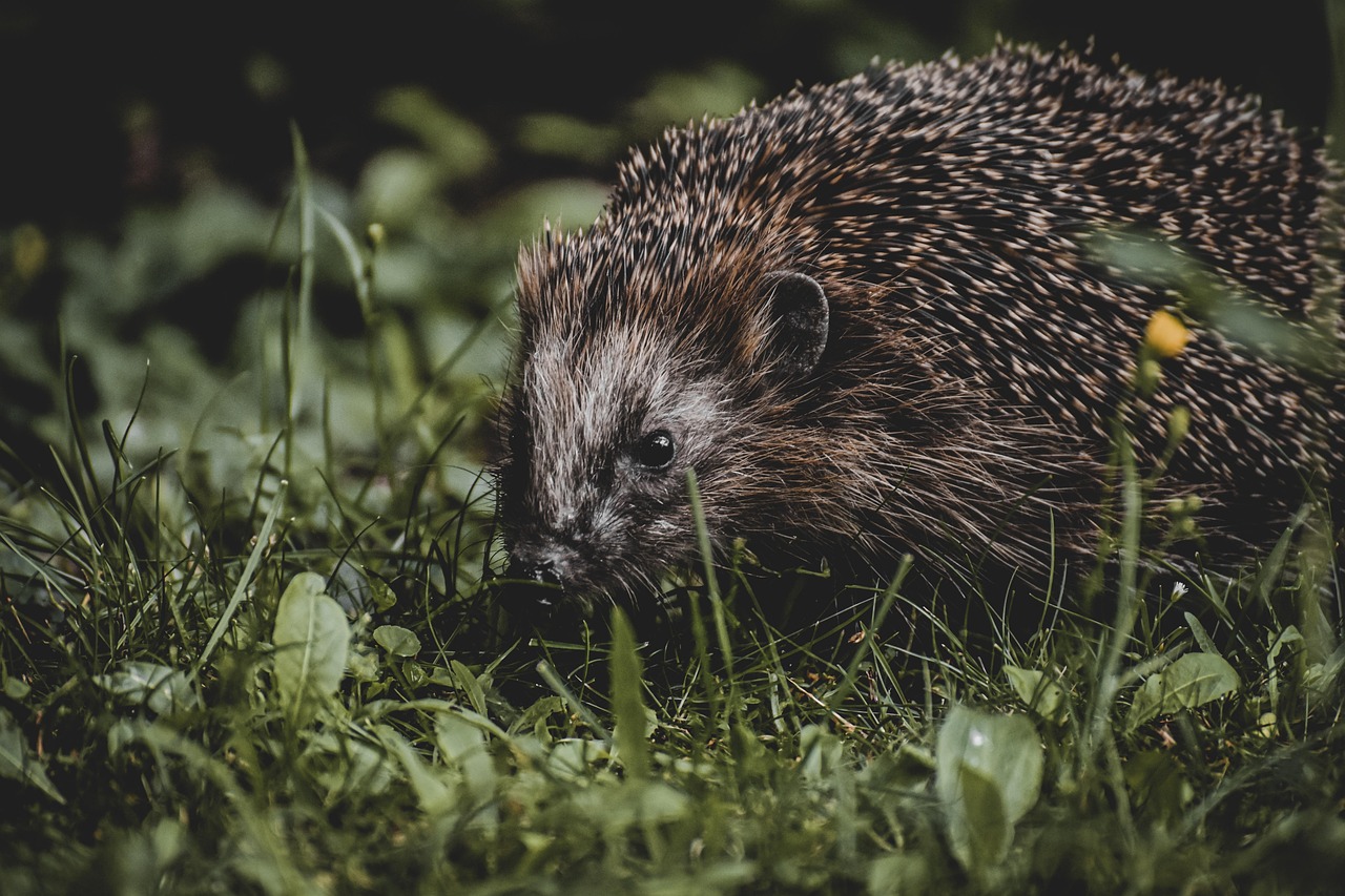 通気性に優れた下着ブランドはどれがおすすめ？