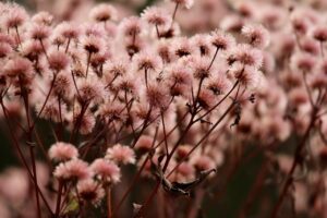 デリケートゾーンのかゆみを効果的に治す方法は？