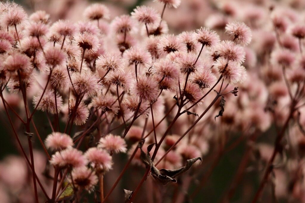 デリケートゾーンの膣カンジダ対策にはどんな方法がある？