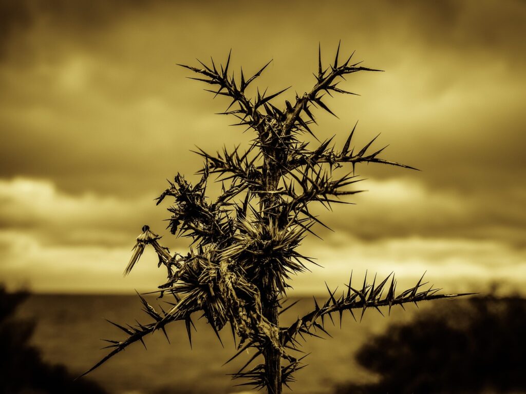 デリケートゾーンの痛みを放置するとどうなるの？