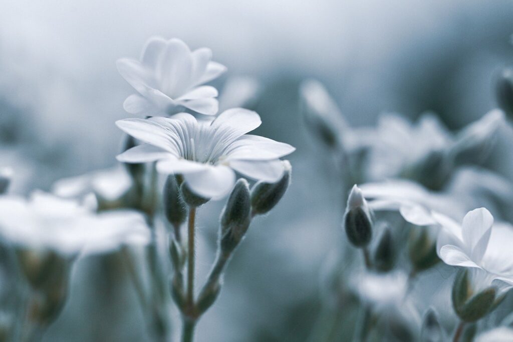 デリケートゾーンにできるニキビの原因とは何ですか？