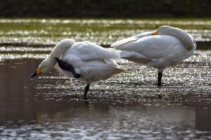 デリケートゾーンの乾燥による痒み対策には何が効果的？