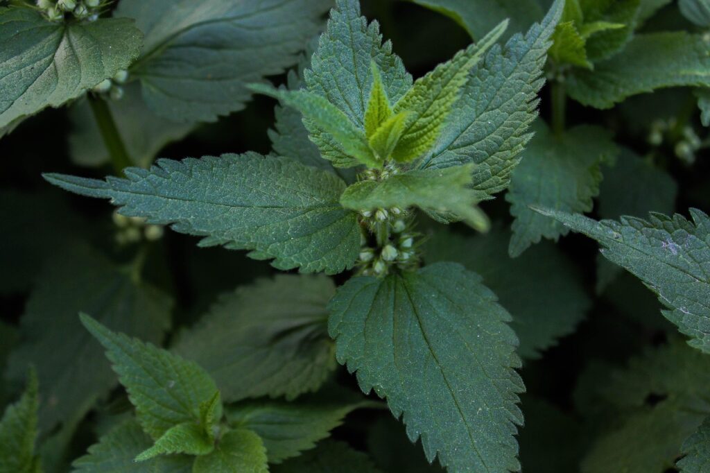 デリケートゾーンのかゆみ、どうすればいい？