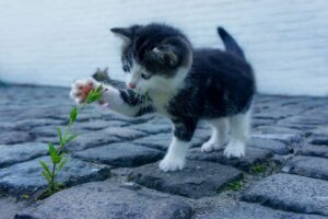 デリケートゾーンのにおいが気になる時、病院に行くべき？