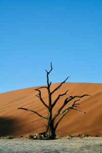 デリケートゾーンの乾燥対策にはどの保湿がおすすめ？