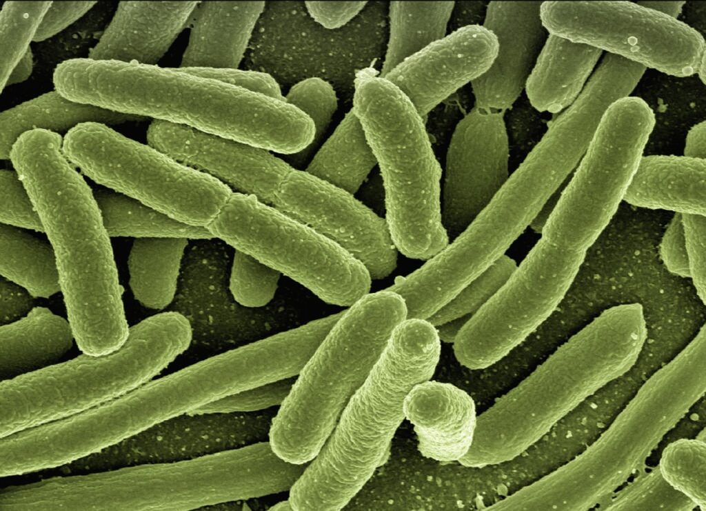 細菌性膣症のにおいを改善する市販薬はどれが効果的？