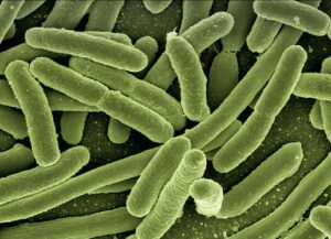 細菌性膣症のにおいを改善する市販薬はどれが効果的？