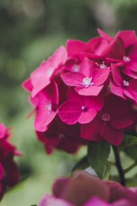 おりもののかゆみにはどの市販薬が効果的？